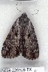  ( - 5034-220508-TX)  @11 [ ] Unspecified (default): All Rights Reserved  Unspecified Unspecified
