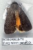  ( - 5036-240508-TX)  @12 [ ] Unspecified (default): All Rights Reserved  Unspecified Unspecified