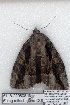  ( - 5118-220808-IN)  @12 [ ] Unspecified (default): All Rights Reserved  Unspecified Unspecified
