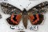  ( - 5152-290808-IN)  @11 [ ] Unspecified (default): All Rights Reserved  Unspecified Unspecified