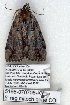  ( - 5198-070708-KY)  @12 [ ] Unspecified (default): All Rights Reserved  Unspecified Unspecified