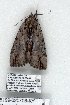 ( - 5199-020708-KY)  @12 [ ] Unspecified (default): All Rights Reserved  Unspecified Unspecified