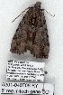  ( - 5201-040708-KY)  @12 [ ] Unspecified (default): All Rights Reserved  Unspecified Unspecified