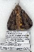 ( - 5203-020708-KY)  @12 [ ] Unspecified (default): All Rights Reserved  Unspecified Unspecified