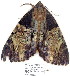  ( - 4010-COI-08)  @12 [ ] Unspecified (default): All Rights Reserved  Unspecified Unspecified