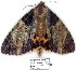  ( - 4011-COI-08)  @12 [ ] Unspecified (default): All Rights Reserved  Unspecified Unspecified
