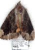  ( - 4013-COI-08)  @12 [ ] Unspecified (default): All Rights Reserved  Unspecified Unspecified