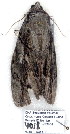  ( - 4018-COI-08)  @12 [ ] Unspecified (default): All Rights Reserved  Unspecified Unspecified
