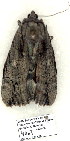 ( - 4063-COI-08)  @12 [ ] Unspecified (default): All Rights Reserved  Unspecified Unspecified