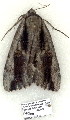  ( - 4066-COI-08)  @12 [ ] Unspecified (default): All Rights Reserved  Unspecified Unspecified