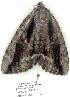  ( - 4068-COI-08)  @12 [ ] Unspecified (default): All Rights Reserved  Unspecified Unspecified