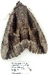  ( - 4069-COI-08)  @12 [ ] Unspecified (default): All Rights Reserved  Unspecified Unspecified