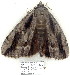  ( - 4072-COI-08)  @12 [ ] Unspecified (default): All Rights Reserved  Unspecified Unspecified