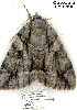  ( - 4082-COI-08)  @12 [ ] Unspecified (default): All Rights Reserved  Unspecified Unspecified