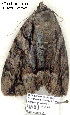  ( - 4083-COI-08)  @12 [ ] Unspecified (default): All Rights Reserved  Unspecified Unspecified
