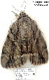  ( - 4086-COI-08)  @12 [ ] Unspecified (default): All Rights Reserved  Unspecified Unspecified