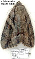  ( - 4090-COI-08)  @12 [ ] Unspecified (default): All Rights Reserved  Unspecified Unspecified