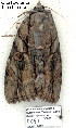 ( - 4091-COI-08)  @12 [ ] Unspecified (default): All Rights Reserved  Unspecified Unspecified