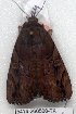  ( - 5414-260508-TX)  @12 [ ] Unspecified (default): All Rights Reserved  Unspecified Unspecified