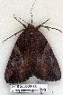  ( - 5416-260508-TX)  @12 [ ] Unspecified (default): All Rights Reserved  Unspecified Unspecified