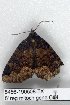  ( - 5456-190508-TX)  @12 [ ] Unspecified (default): All Rights Reserved  Unspecified Unspecified