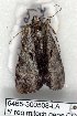  ( - 5465-300508-LA)  @13 [ ] Unspecified (default): All Rights Reserved  Unspecified Unspecified