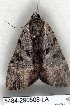  ( - 5484-290508-LA)  @13 [ ] Unspecified (default): All Rights Reserved  Unspecified Unspecified