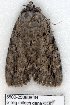  ( - 5500-250808-IN)  @12 [ ] Unspecified (default): All Rights Reserved  Unspecified Unspecified