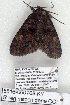  ( - 5516-060708-KY)  @12 [ ] Unspecified (default): All Rights Reserved  Unspecified Unspecified