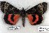  ( - 5580-300808-WY)  @11 [ ] Unspecified (default): All Rights Reserved  Unspecified Unspecified