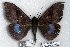 ( - 5644-021208-PH)  @14 [ ] Unspecified (default): All Rights Reserved  Unspecified Unspecified