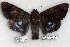  ( - 5654-040808-MY)  @13 [ ] Unspecified (default): All Rights Reserved  Unspecified Unspecified