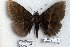  (Erebus sp. 4-RJB - 3991-291108-PH)  @12 [ ] Unspecified (default): All Rights Reserved  3991-291108-PH Unspecified