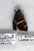  ( - 5781-060708-KY)  @13 [ ] Unspecified (default): All Rights Reserved  Unspecified Unspecified