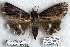  ( - 5750-291108-PH)  @13 [ ] Unspecified (default): All Rights Reserved  Unspecified Unspecified