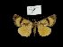  ( - 5828-150704-CH)  @11 [ ] Unspecified (default): All Rights Reserved  Unspecified Unspecified