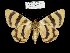  ( - 5830-310705-TU)  @11 [ ] Unspecified (default): All Rights Reserved  Unspecified Unspecified