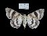  ( - 5830-310705-TU)  @11 [ ] Unspecified (default): All Rights Reserved  Unspecified Unspecified