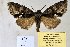  ( - 20147-301010-CH)  @13 [ ] Copyright (2013) Aidas Saldaitis Vilinus Ecological Institute