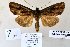  ( - 20171-180709-CH)  @13 [ ] Copyright (2013) Aidas Saldaitis Vilinus Ecological Institute