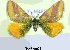  ( - 20197-230606-IT)  @11 [ ] Copyright (2013) Aidas Saldaitis Vilinus Ecological Institute