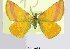  ( - 20199-160795-IT)  @11 [ ] Copyright (2013) Aidas Saldaitis Vilinus Ecological Institute