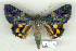  ( - 8050-010709-CH)  @11 [ ] Unspecified (default): All Rights Reserved  Unspecified Unspecified