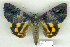  ( - 8052-010709-CH)  @14 [ ] Unspecified (default): All Rights Reserved  Unspecified Unspecified