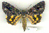  ( - 8053-010709-CH)  @15 [ ] Unspecified (default): All Rights Reserved  Unspecified Unspecified