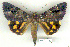  ( - 8054-010709-CH)  @15 [ ] Unspecified (default): All Rights Reserved  Unspecified Unspecified