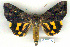  ( - 8055-010709-CH)  @11 [ ] Unspecified (default): All Rights Reserved  Unspecified Unspecified