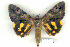  ( - 8056-010709-CH)  @11 [ ] Unspecified (default): All Rights Reserved  Unspecified Unspecified