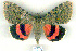  ( - 8060-200708-SP)  @14 [ ] Unspecified (default): All Rights Reserved  Unspecified Unspecified