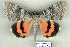  ( - 8061-060800-RU)  @13 [ ] Unspecified (default): All Rights Reserved  Unspecified Unspecified